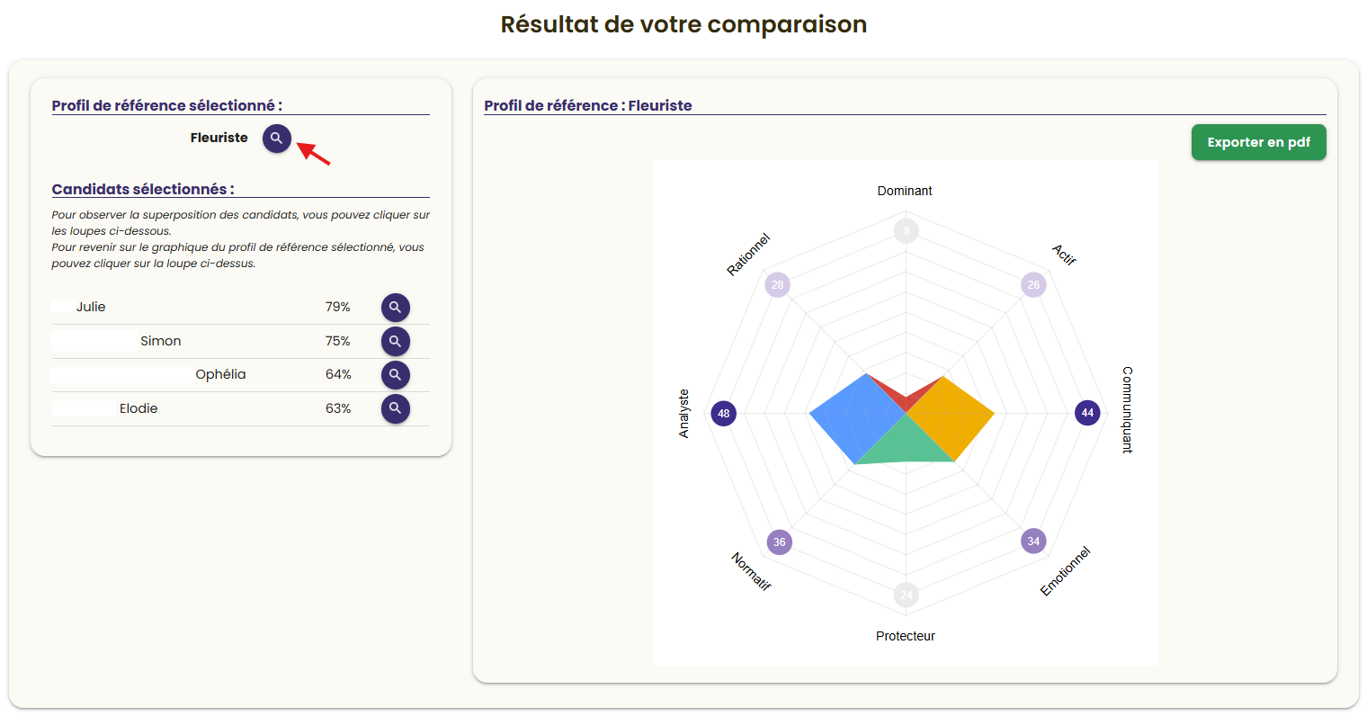 Superposition vue depuis la loupe du profil de référence