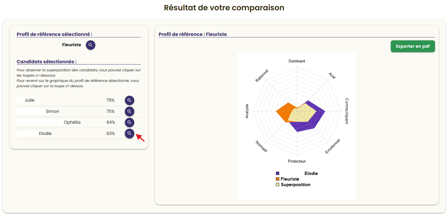 Superposition vue depuis la loupe du candidat